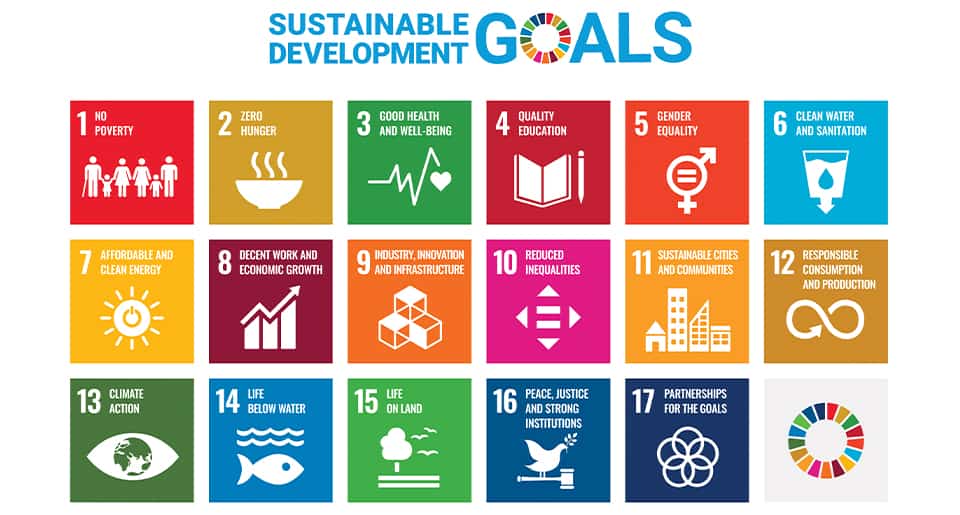 Webbseminarium om svensk forskning som relaterar till SDG