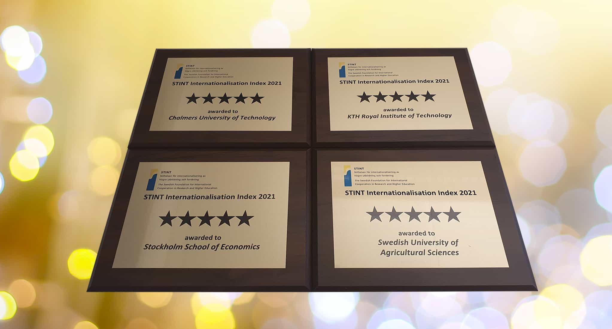 New five-star university in STINT Internationalisation Index - STINT