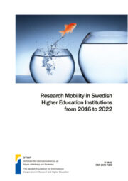 The Report, Mobility and gender